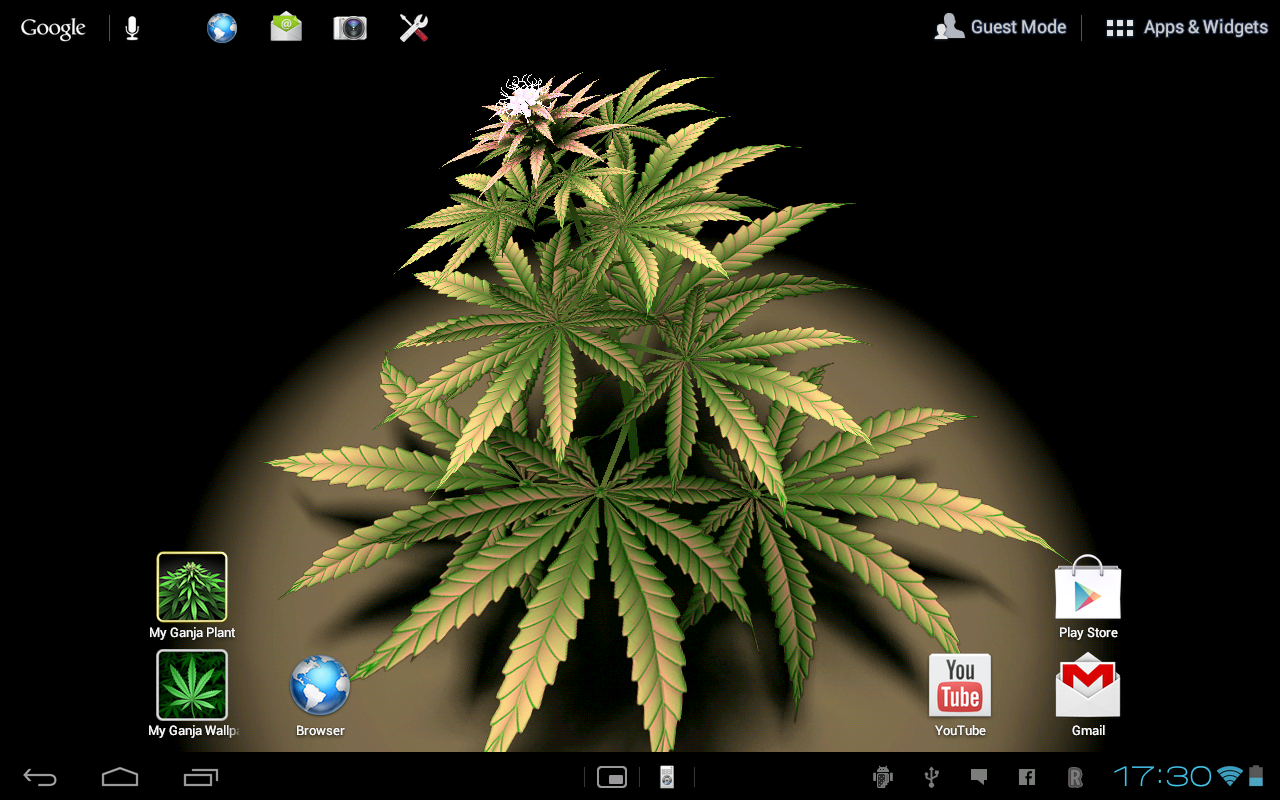 My Ganja Plant Live Wallpaper Apl Android Di Google Play