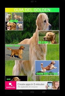 GOLDEN RETRIEVER Screenshots 4