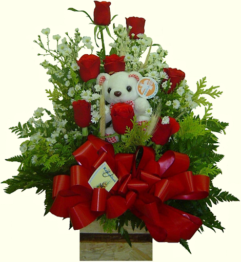 urso.png