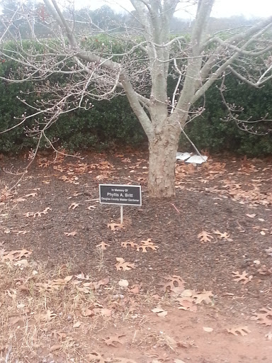 Phyllis Britt Memorial Tree