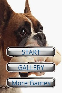 How to install Dog Puzzle: Boxer patch 3.0.1.0 apk for android