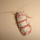 Footman moth