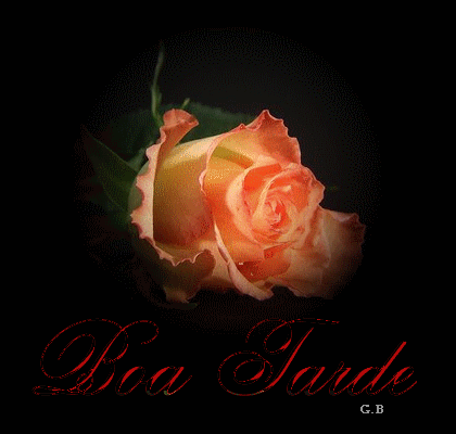 boa+tarde03.gif