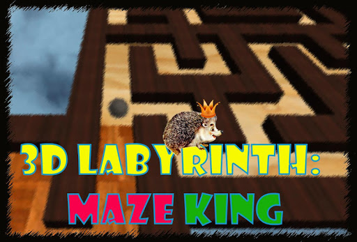 3D Labyrinth: Maze King