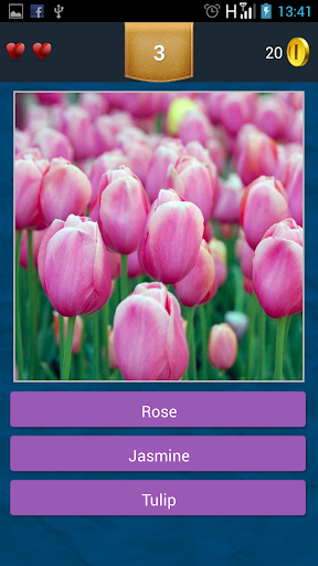 【免費教育App】Pics Quiz - Flowers-APP點子