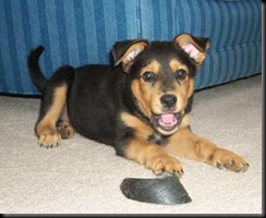 image002