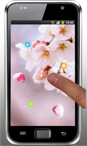 免費下載個人化APP|Spring Cherry Sakura LWP app開箱文|APP開箱王