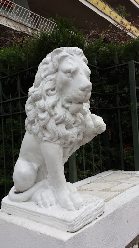 Lion Cimiez