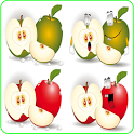 Fruit For Kid icon