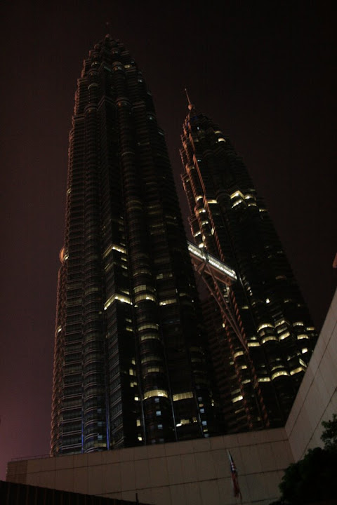 les TTP éteintes vus de côté