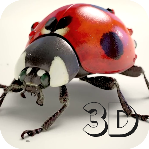 Ladybug 3D Live Wallpaper 個人化 App LOGO-APP開箱王
