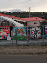 Multiple Murals