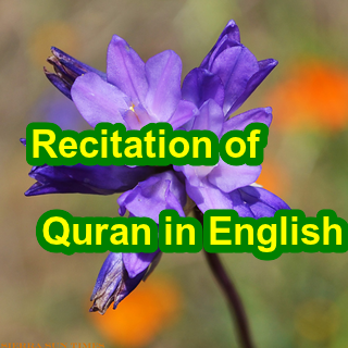 【免費娛樂App】Recitation of Quran in English-APP點子