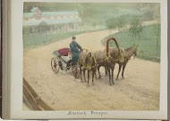 Droshky met koetsier