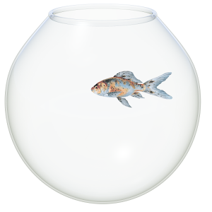 The Fish Bowl.apk 1.8.3