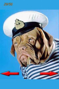 How to get Funny Pictures 2 patch 1.0 apk for android