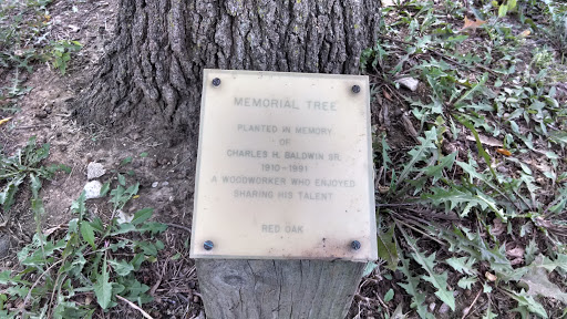 Baldwin Memorial Oak