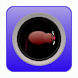 House Mouse Free