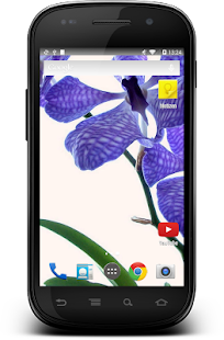 How to download Orchids Orchid Theme Wallpaper 1.03 mod apk for pc