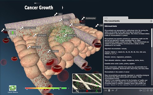 Free Download bodyxq cancer APK for PC