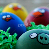 eggsy birds ;) by Nina Kriznic -  
