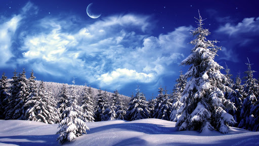 Winter HD Live Wallpaper