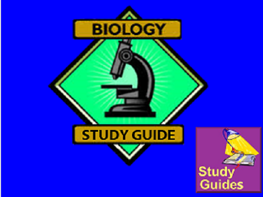 Biology Study Guide Old