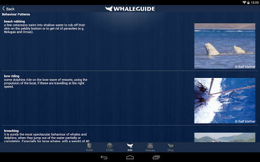 【免費書籍App】WhaleGuide-APP點子