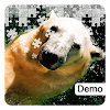 Polar Bear Jigsaws Demo