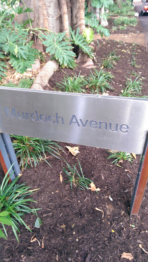 Murdoch Avenue in the Botanical Gardens
