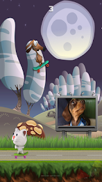 Wiener Dog PAID poster 14