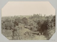 Gezicht op Howick met twee jongens op een weg