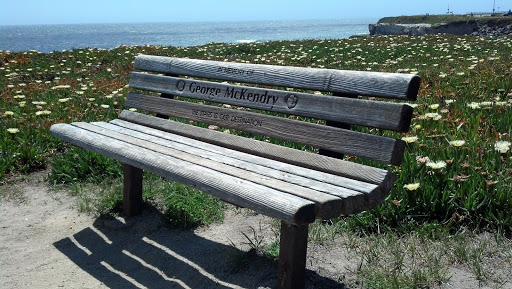 The Stars Is Our Destination - George McKendry Memorial Bench