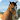 My Horse