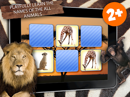 Memory Wildlife Photo For Kids Screenshots 5