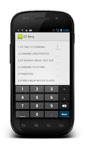 Berg Balance Scale Lite