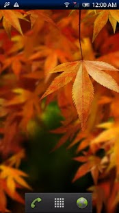 Free Download Autumn Colors APK