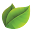 MyGarden.org Download on Windows