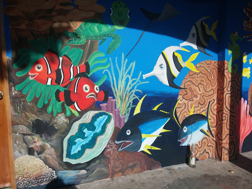 Sea Life Wall Art