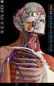 Screenshot Essential Anatomy 3 v1.1.3