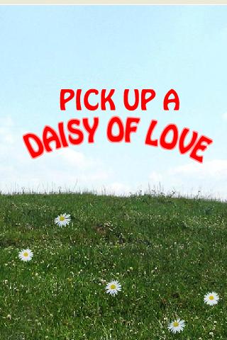 Daisy Of Love