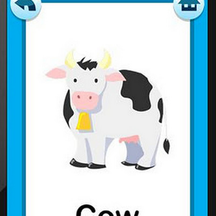 11 Luxury Car Review Magazines