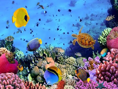 How to download Ocean Underwater World 1.1 unlimited apk for android