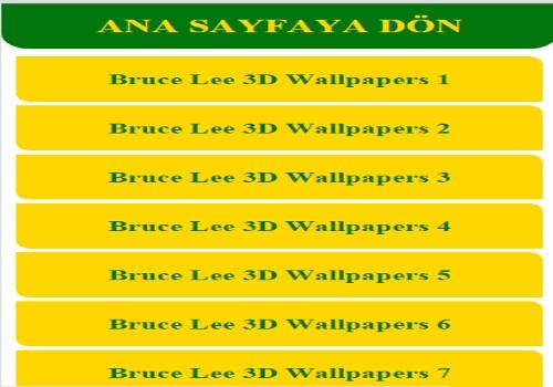 Bruce Lee 3D Wallpapers
