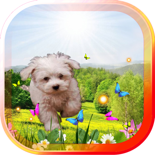 Spring Puppy live wallpaper 個人化 App LOGO-APP開箱王
