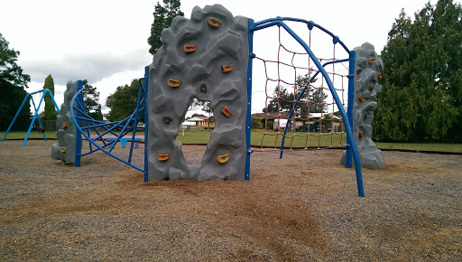 Playground at Doherty St Park