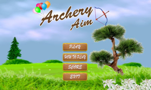 Archery Aim