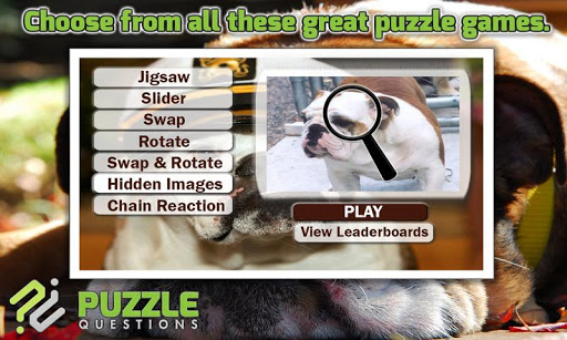 Free Bulldog Puzzle Games