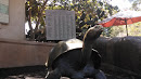 Galapagos Tortoise Exhibit