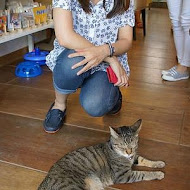 貓旅行咖啡輕食館